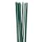 Green Stem Wire, 16 Gauge by Ashland®